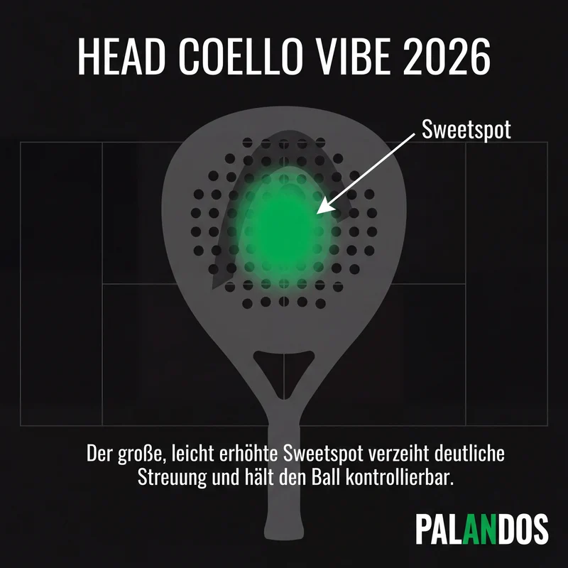 Head Coello Vibe 2026