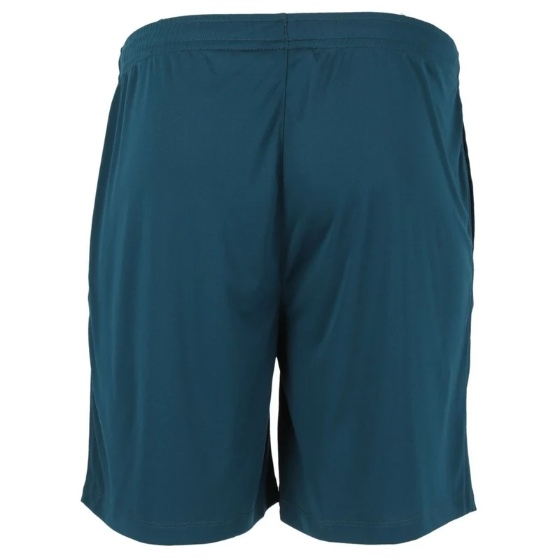 FZ Forza Landos M Shorts (Poseidon)