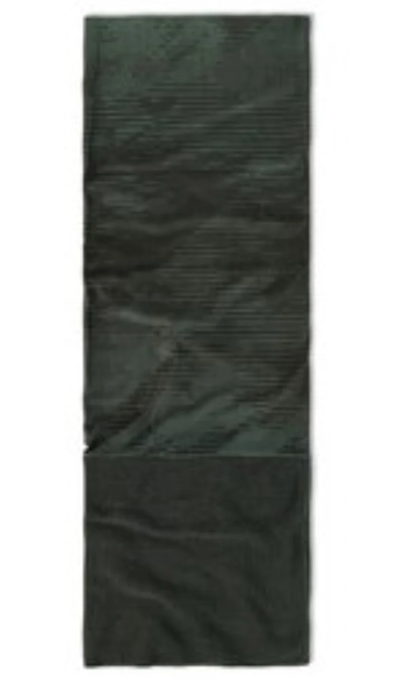 Buff POLAR MULTIFUNKTIONSTUCH für Erwachsene olive Gr. One Size