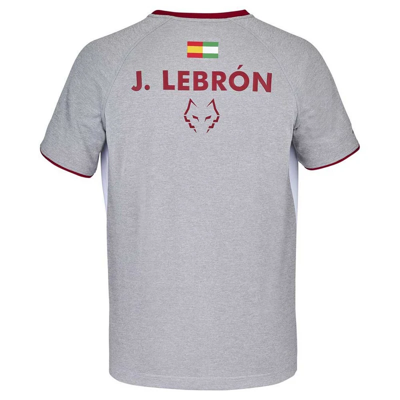 Babolat Crew Neck Tee Lebron - Weiß/Grau