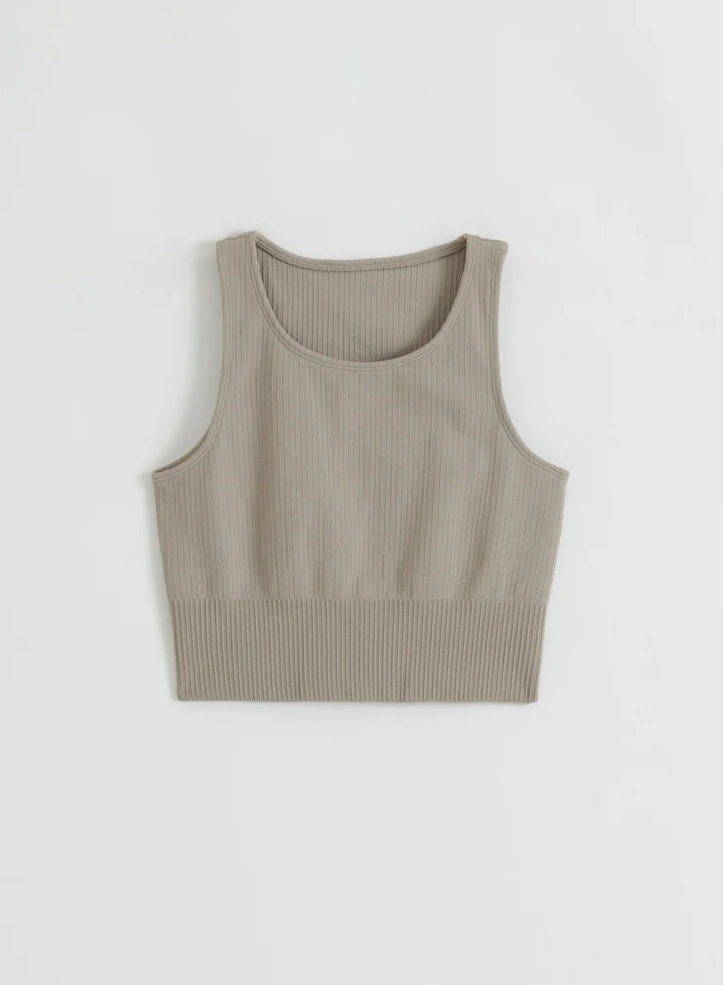 Dark Clay Ribbed Seamless Crop Top
