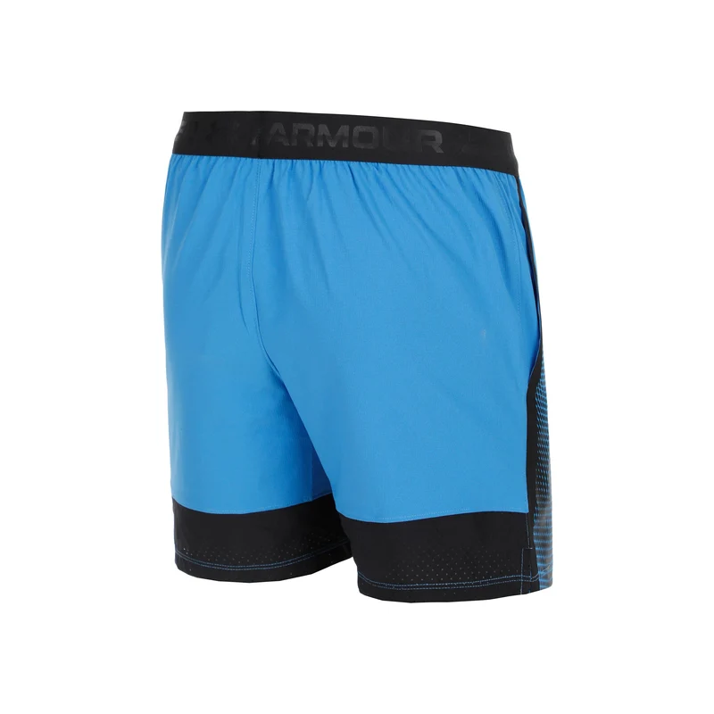 Vanish Graphic Shorts Herren-Blau,Schwarz