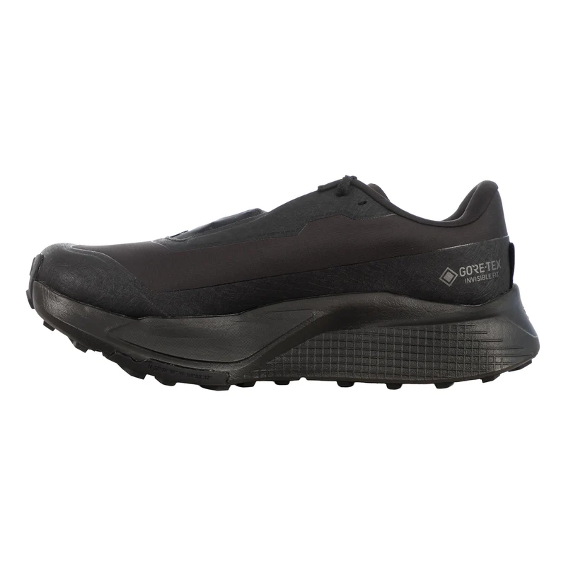 Altamesa 500 V2 GTX Trailschuh Herren - schwarz, schwarz