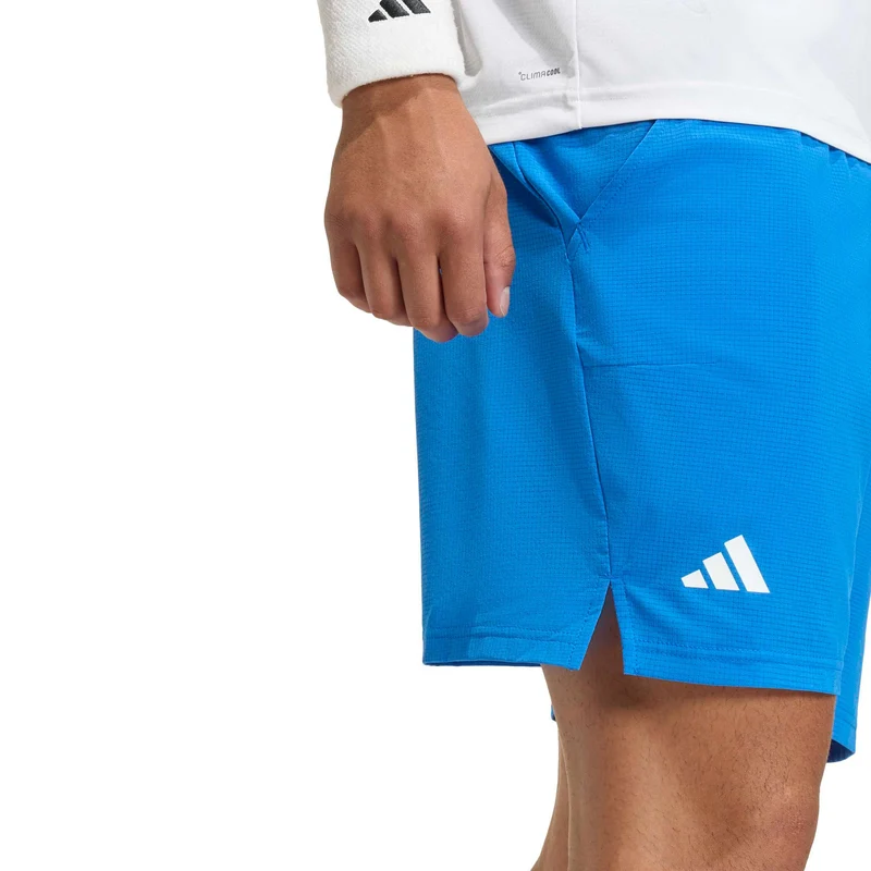 Ergo 9Inch Shorts Herren - blau, weiß
