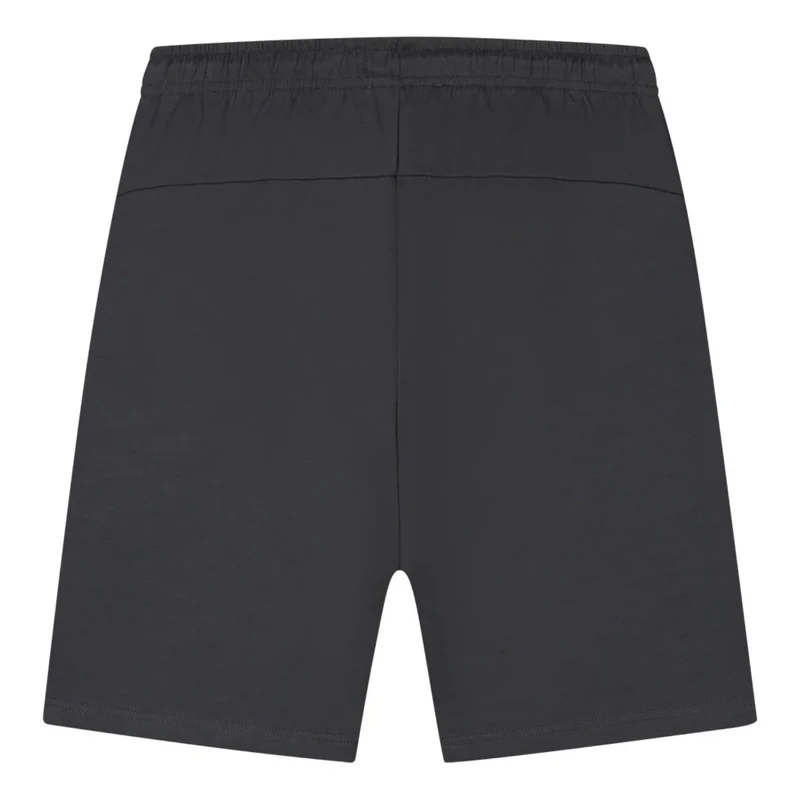 Malelions Sport Counter Shorts Antra