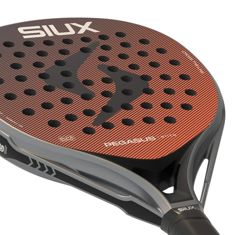 Siux Pegasus Elite 4