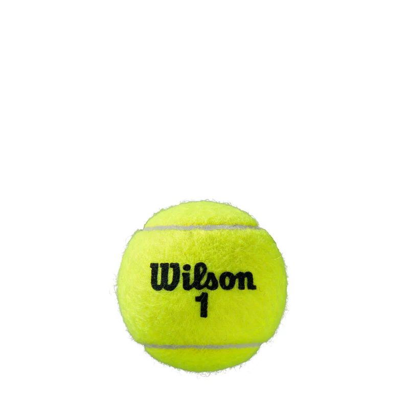 WILSON Roland Garros All CT 4 Tennisbälle