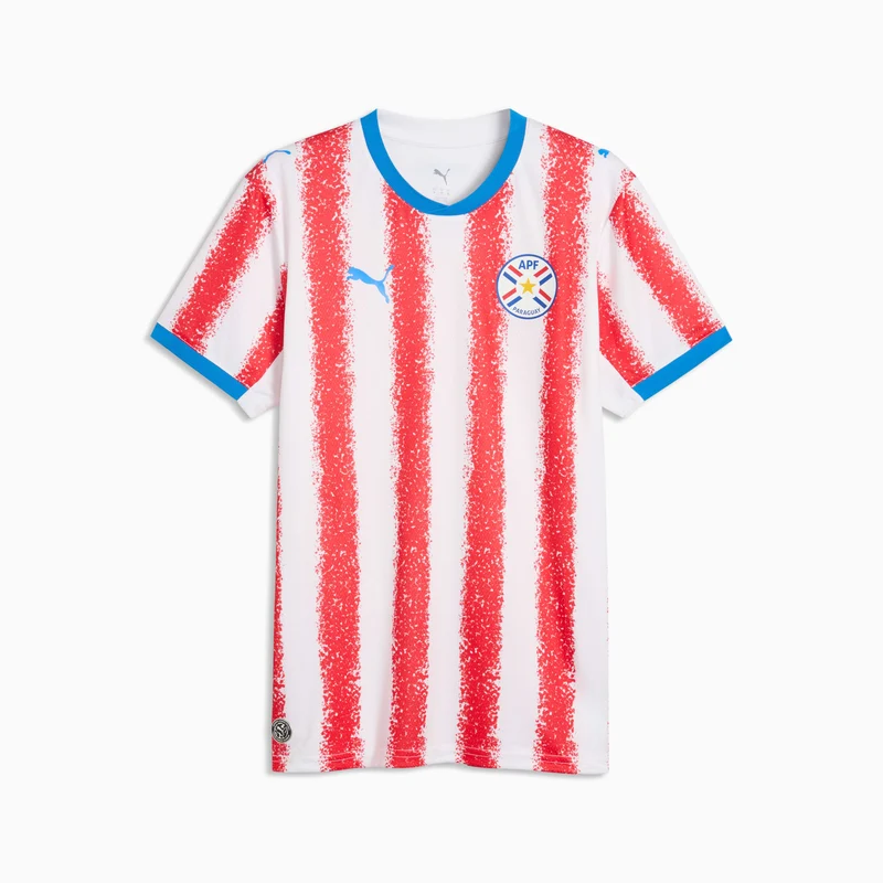 WM Trikot Paraguay