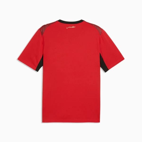 WM Trikot Ägypten