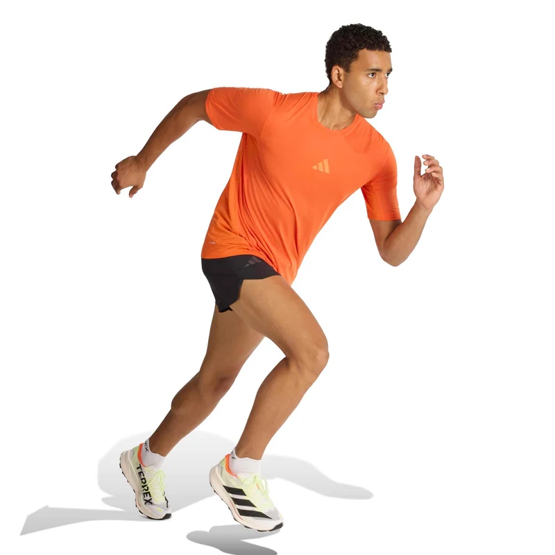 Terrex XPR 5in Laufshorts Herren - schwarz
