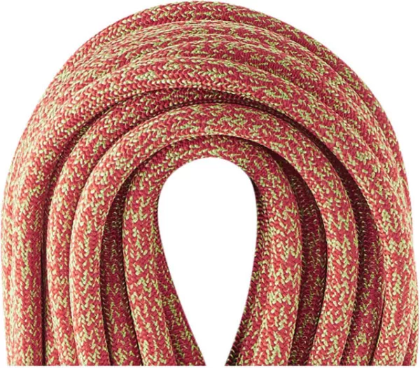 EDELRID Boa Gym 9,8mm Kletterseil für Hallentraining