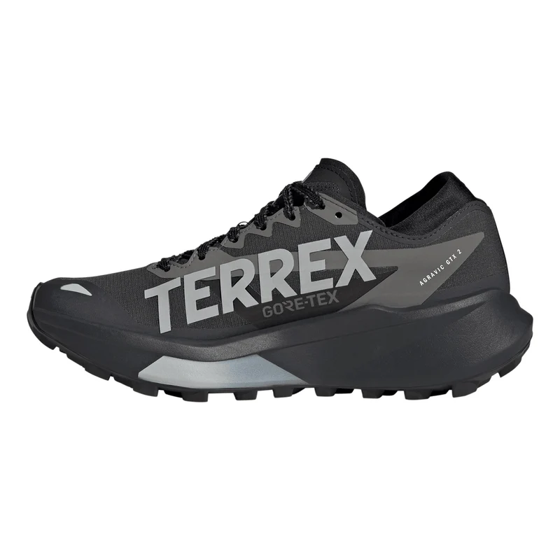 Terrex Agravic GTX 2 Trailschuh Damen - dunkelgrau, grau