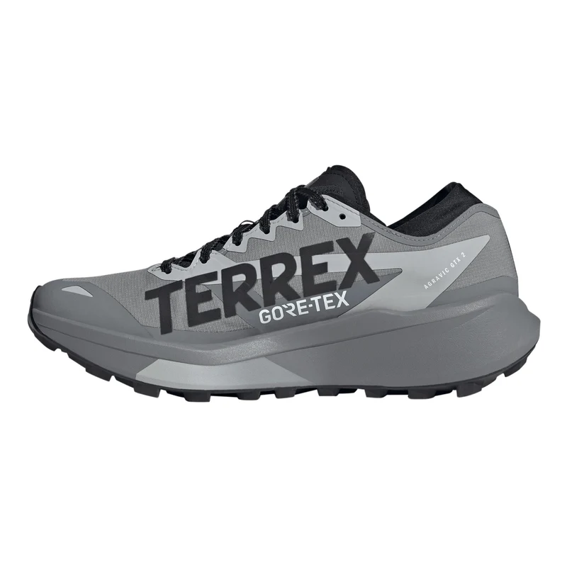 Terrex Agravic GTX 2 Trailschuh Herren - grau, grau