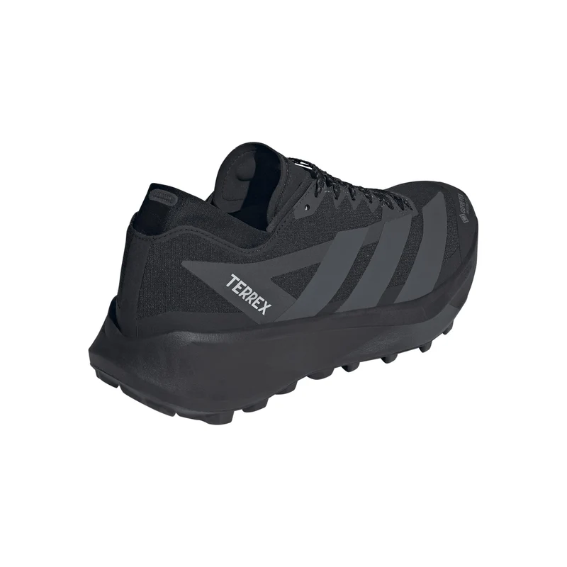 Terrex Agravic GTX 2 Trailschuh Herren - schwarz, dunkelgrau