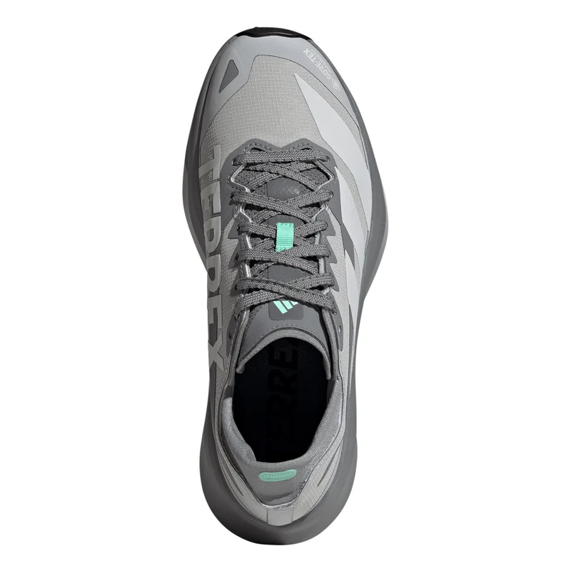 Terrex Agravic GTX 2 Trailschuh Damen - grau, grau